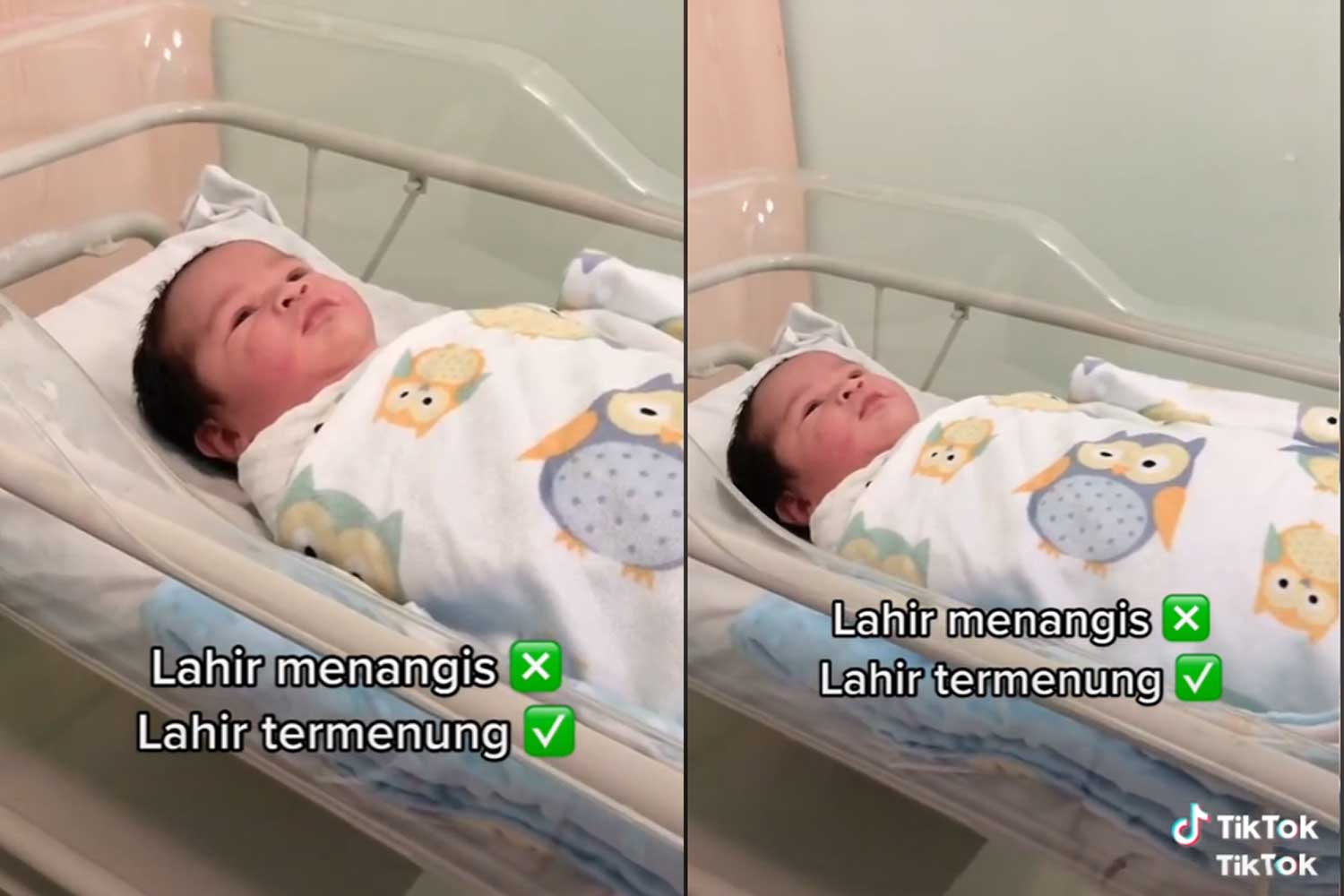 Bayi baru lahir jauh termenung fikir masa depan jadi bualan