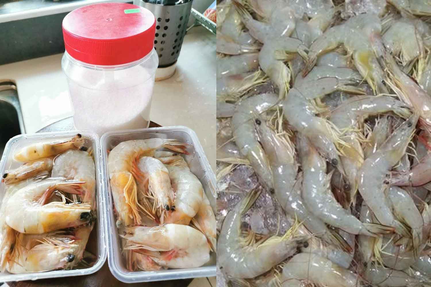 Petua kekalkan udang 'fresh' macam baru naik dari laut walaupun dah 6 bulan