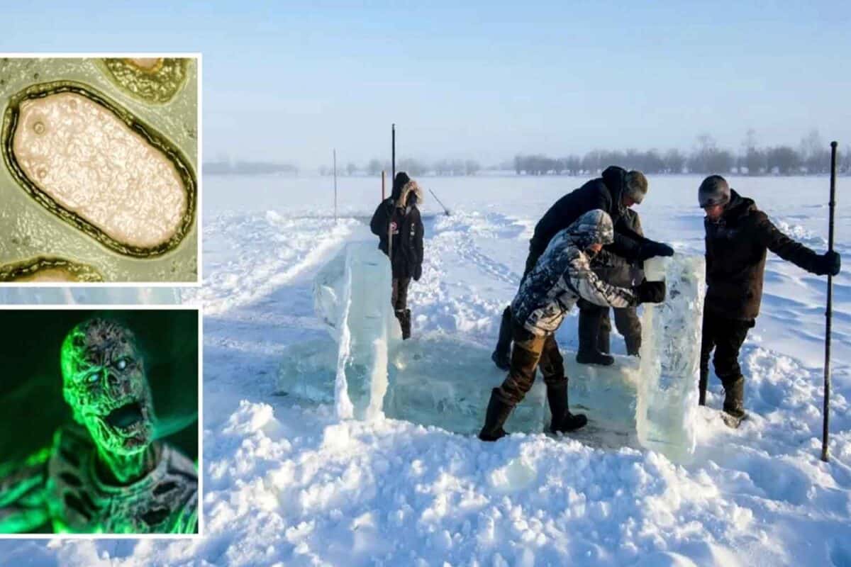 Tak Sangka! Rupanya Zombie Wujud! Saintis Ini Temui Virus 'zombi ...